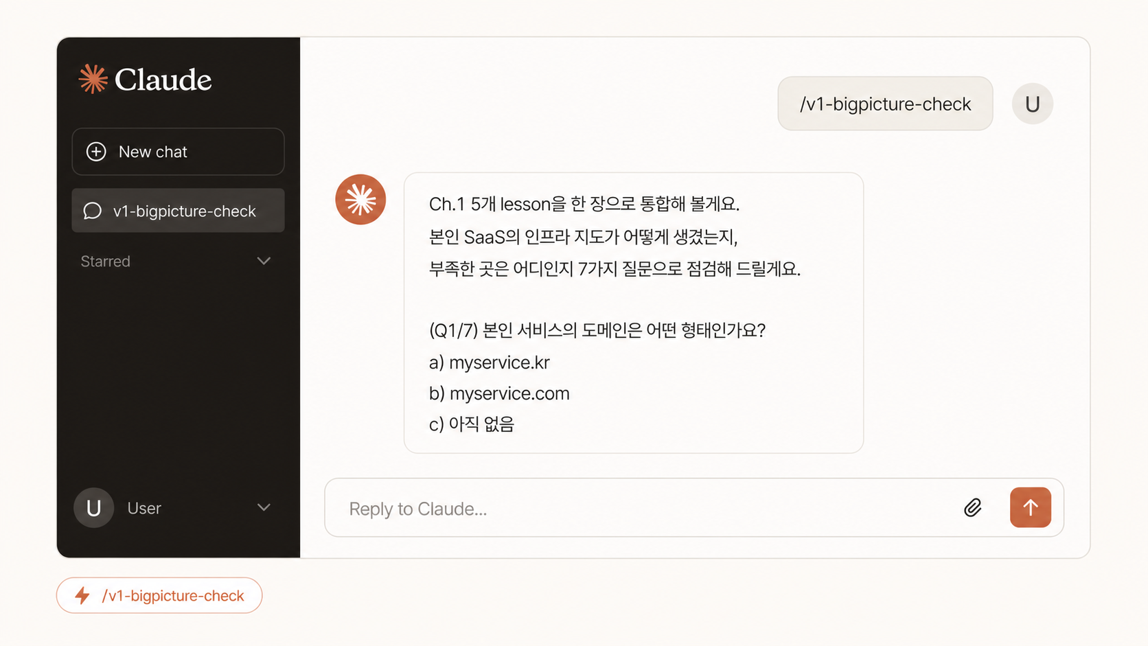 📷 캡쳐 — Claude Desktop에서 <code>/v1-bigpicture-check</code> 입력 후 첫 응답.